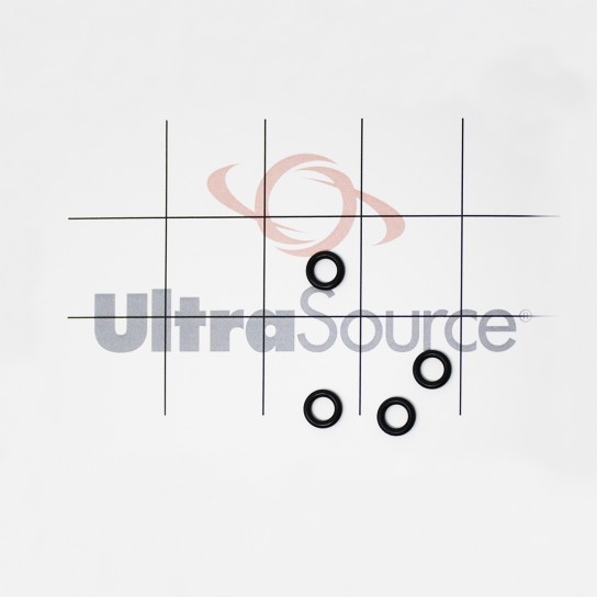 Gunther Injector Needle O-Ring for 555.006.002 by UltraSource 331716